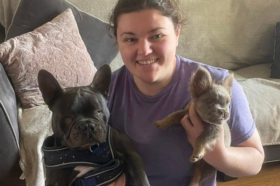Woman holding an adult French Bulldog and a French Bulldog puppy on the couch